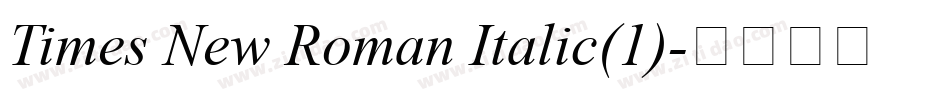 Times New Roman Italic(1)字体转换